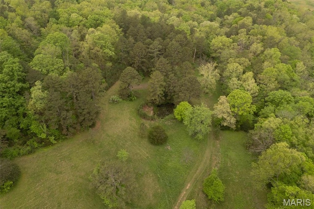 2481 Wayne 361, Piedmont, MO 63957 - aerial view of property and surrounding area featuring a forest
