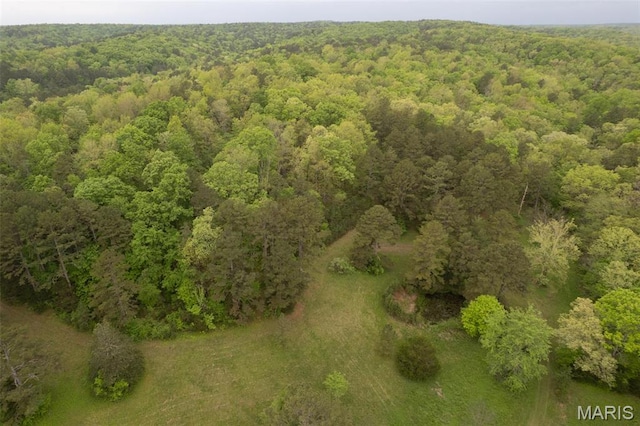 2481 Wayne 361, Piedmont, MO 63957 - bird's eye view of a forest