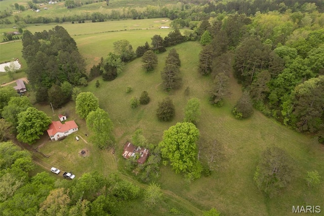 2481 Wayne 361, Piedmont, MO 63957 - view of rural area