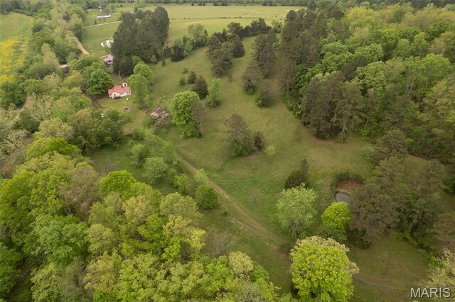 2481 Wayne 361, Piedmont, MO 63957 - overview of rural landscape