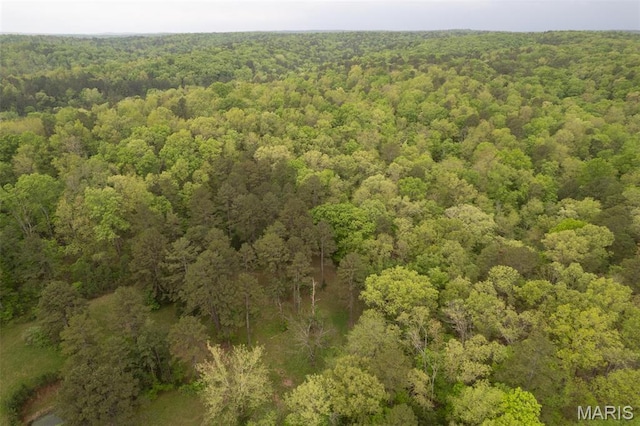 2481 Wayne 361, Piedmont, MO 63957 - aerial view of a forest
