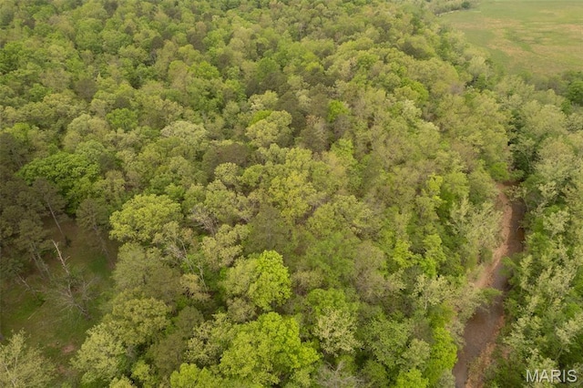 2481 Wayne 361, Piedmont, MO 63957 - bird's eye view of a heavily wooded area