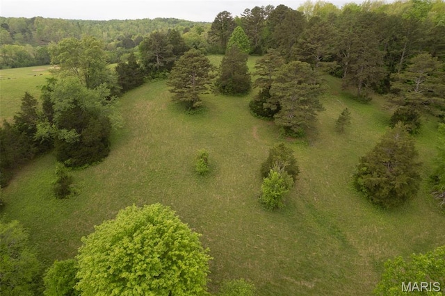 2481 Wayne 361, Piedmont, MO 63957 - bird's eye view of a heavily wooded area