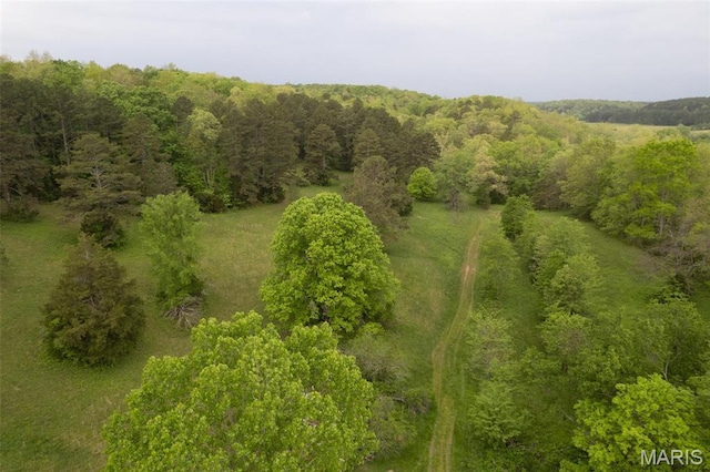 2481 Wayne 361, Piedmont, MO 63957 - aerial view of a heavily wooded area