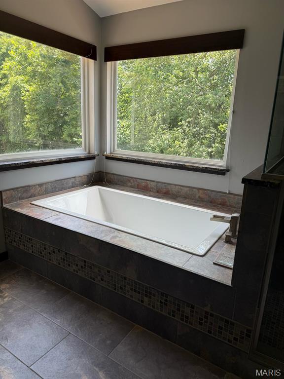2158 Avalon Ridge Cir, Fenton, MO 63026 - bathroom with healthy amount of natural light and a bath