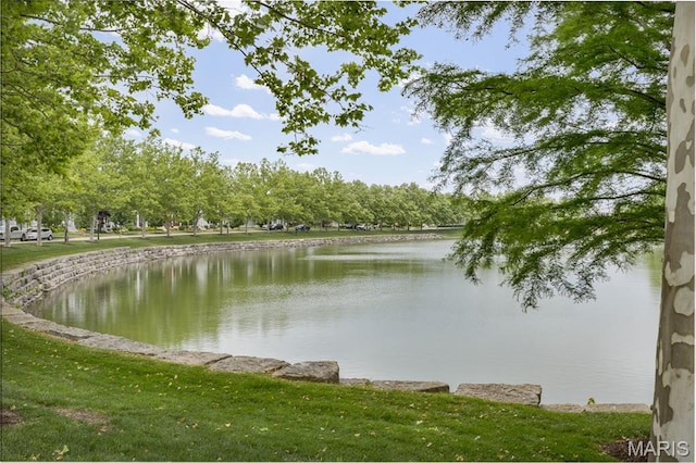 3677 Arpent St Unit 3, Saint Charles, MO 63301 - water view
