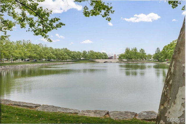 3677 Arpent St Unit 3, Saint Charles, MO 63301 - water view