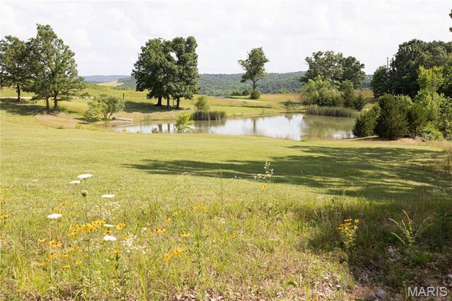 31321 Ac Hwy, Lebanon, MO 65536 - photo 15