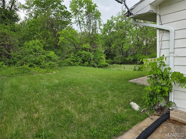 6145 Payne Ave, Saint Louis, MO 63135 - view of green lawn