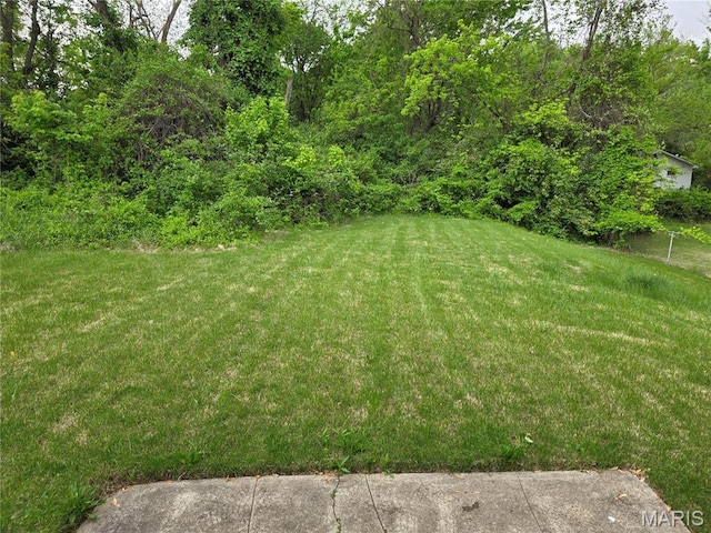 6145 Payne Ave, Saint Louis, MO 63135 - view of green lawn