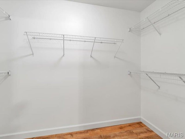 927 Annabrook Park Dr, Ofallon, MO 63366 - walk in closet with light wood-type flooring