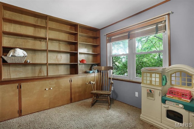 11 Wilshire St, East Alton, IL 62024 - sitting room with carpet floors and crown molding