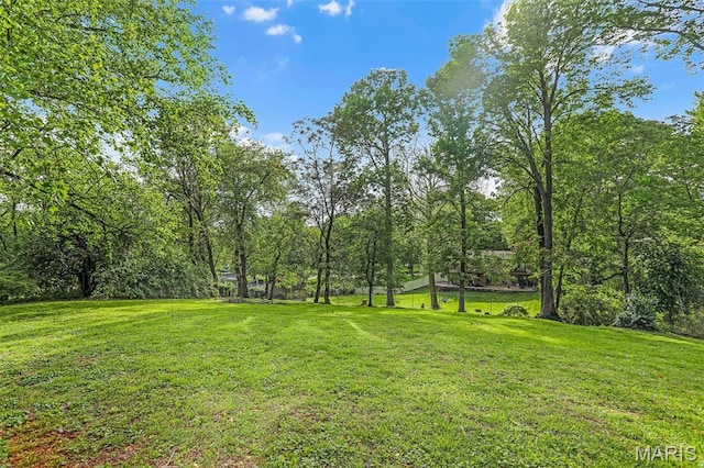 11 Wilshire St, East Alton, IL 62024 - view of green lawn