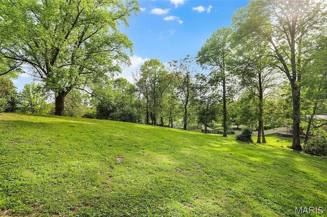 11 Wilshire St, East Alton, IL 62024 - view of grassy yard