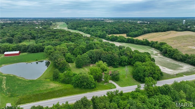 5007 Seiler Rd, Dorsey, IL 62021 - aerial view of a large body of water
