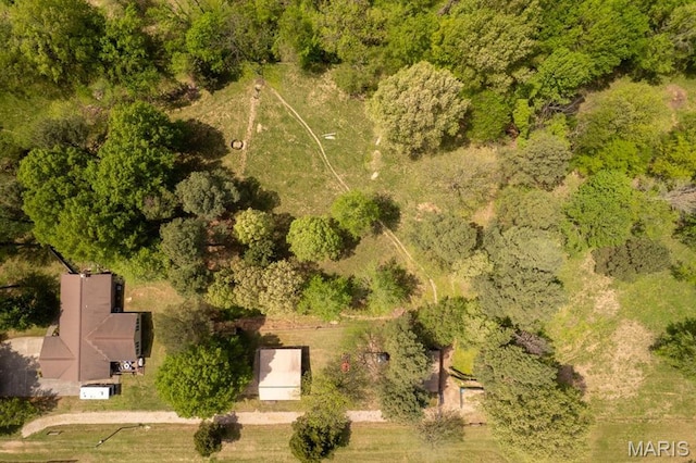 16785 County Road 624, Dexter, MO 63841 - aerial view