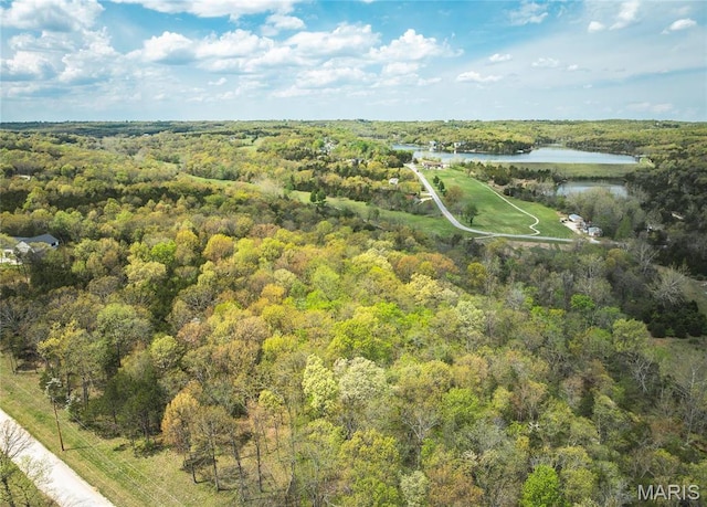 1601 Hawkwood Trl, De Soto, MO 63020 - photo 9