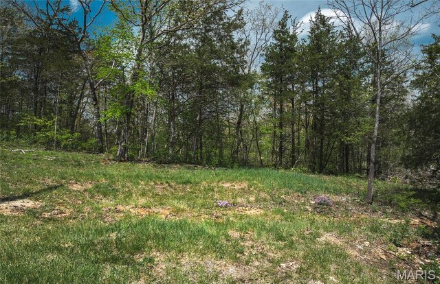 1601 Hawkwood Trl, De Soto, MO 63020 - photo 19