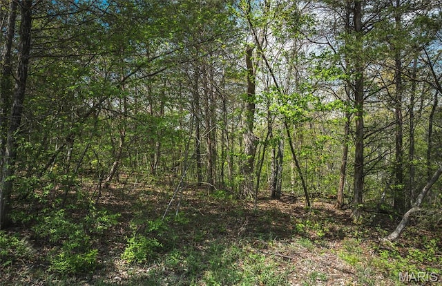 1601 Hawkwood Trl, De Soto, MO 63020 - photo 20