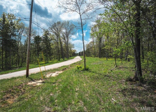 1601 Hawkwood Trl, De Soto, MO 63020 - photo 21