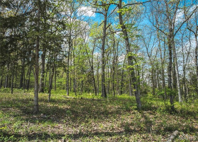 1601 Hawkwood Trl, De Soto, MO 63020 - photo 23