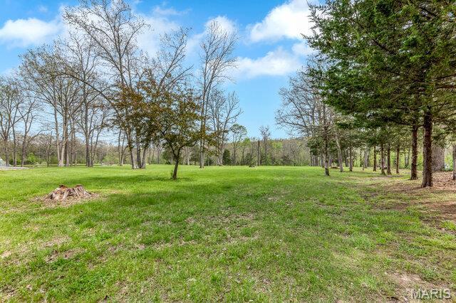 20054 Shady Tree Ln, Warrenton, MO 63383 - photo 44
