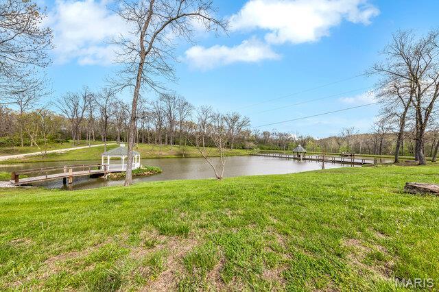 20054 Shady Tree Ln, Warrenton, MO 63383 - photo 46