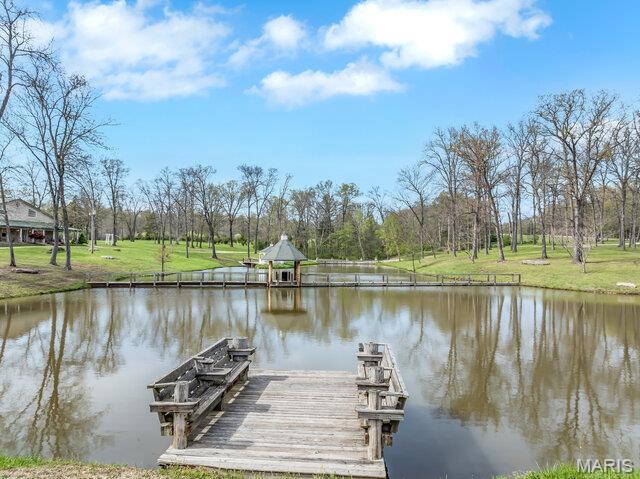 20054 Shady Tree Ln, Warrenton, MO 63383 - photo 53