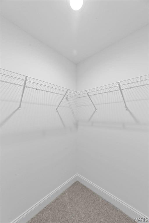 119 Monica Dr, Sunset Hills, MO 63127 - walk in closet with carpet flooring
