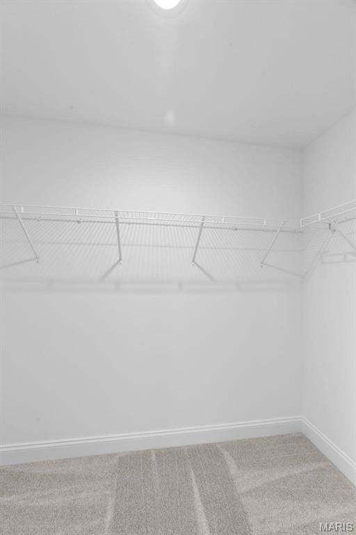 119 Monica Dr, Sunset Hills, MO 63127 - walk in closet featuring light carpet
