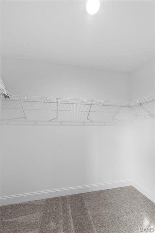 119 Monica Dr, Sunset Hills, MO 63127 - view of spacious closet