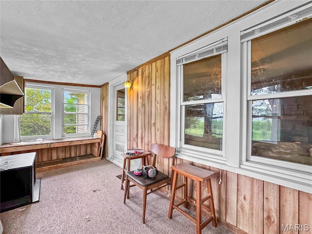 sunroom featuring a textured ceiling, carpet flooring, and wood walls
