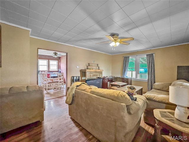 living room featuring ceiling fan, wood finished floors, and ornamental molding