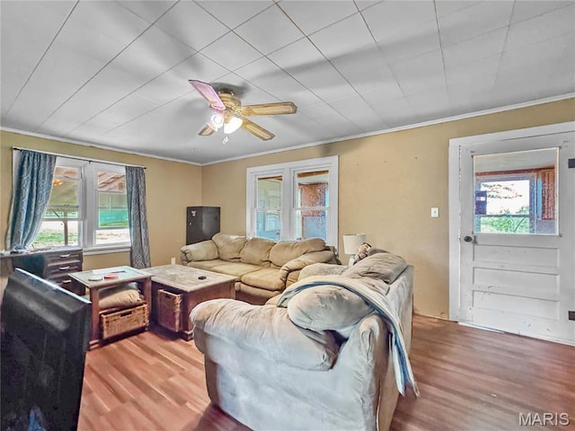 living area with plenty of natural light, wood finished floors, ornamental molding, and ceiling fan