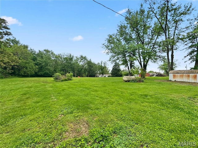 view of grassy yard