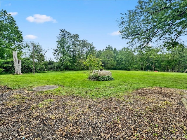 view of grassy yard