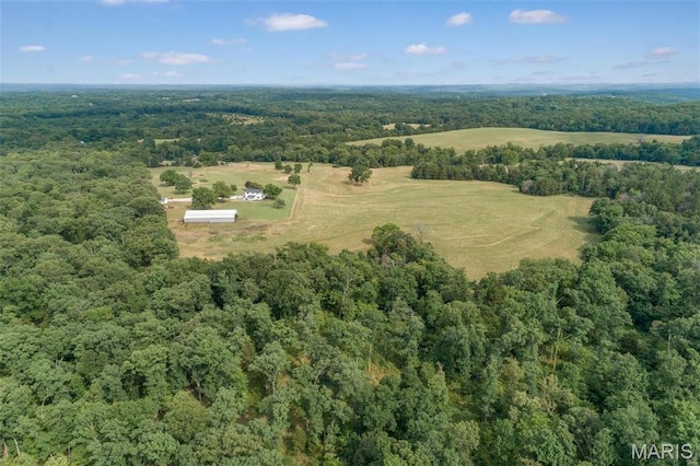 aerial view of a forest
