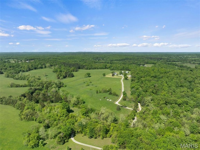 10715 Calico Rd, Fletcher, MO 63030 - photo 66