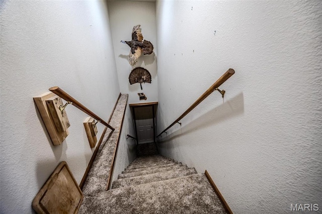 23598 Falcon Rd, Lebanon, MO 65536 - stairs featuring carpet