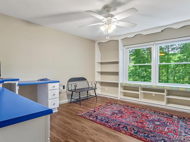 335 N Powder Mill Rd, Belleville, IL 62223 - office space with ceiling fan and dark wood-style flooring