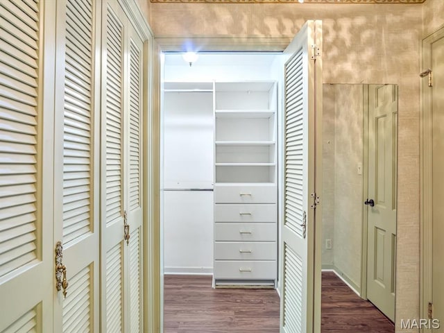 335 N Powder Mill Rd, Belleville, IL 62223 - view of closet