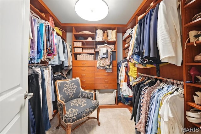 view of spacious closet
