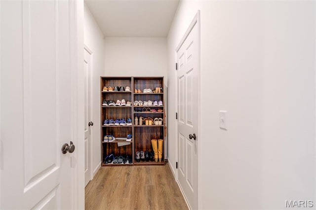 wine room with light wood-type flooring