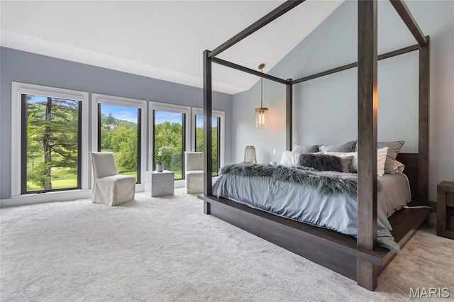 carpeted bedroom with multiple windows and high vaulted ceiling