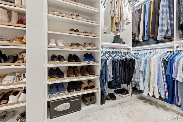 view of walk in closet