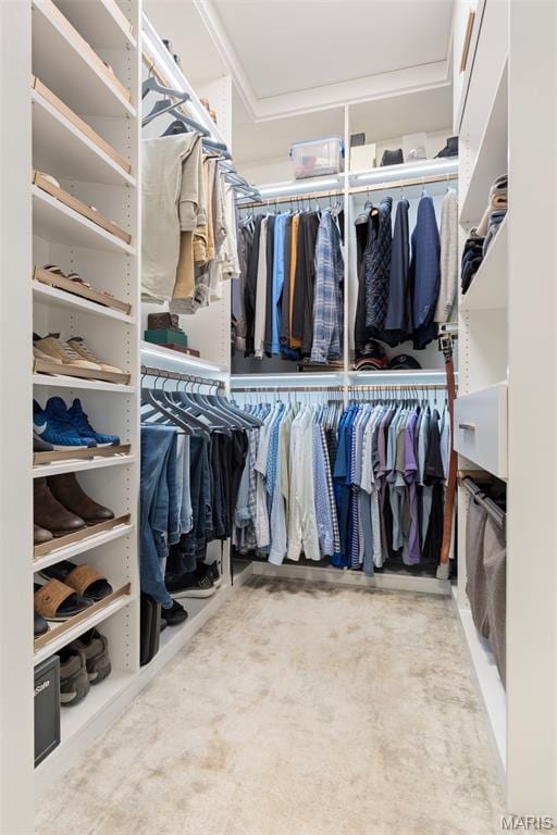 view of walk in closet