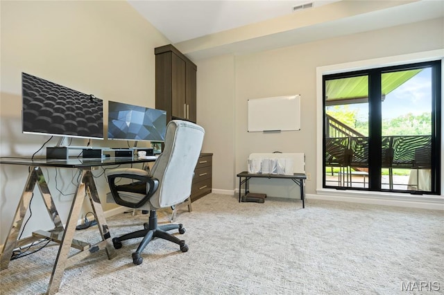 office featuring healthy amount of natural light, light colored carpet, and baseboards