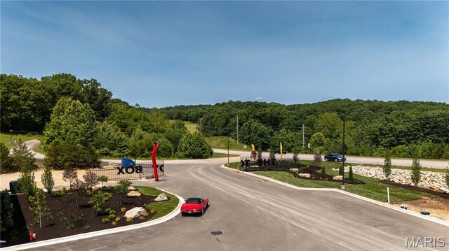 100 Blue Heron Hill Rd Unit 113, Lake Ozark, MO 65049 - photo 51