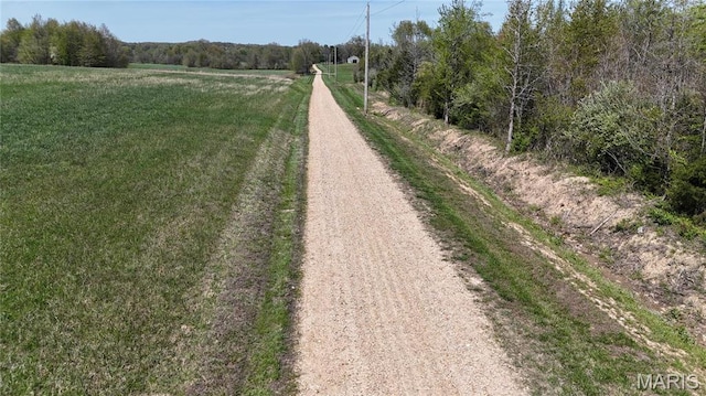 12503 County Road 292, Bloomfield, MO 63825 - view of street featuring a rural view
