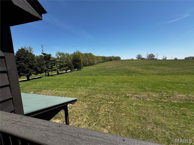 12503 County Road 292, Bloomfield, MO 63825 - view of green lawn